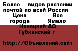 Более200 видов растений почтой по всей России › Цена ­ 100-500 - Все города  »    . Ямало-Ненецкий АО,Губкинский г.